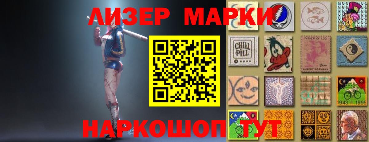 МЕФ Ставрополь