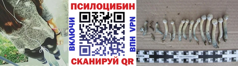 Псилоцибиновые грибы прущие грибы  KRAKEN ONION  Ставрополь 