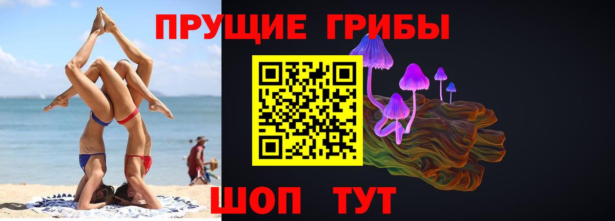 Псилоцибиновые грибы Cubensis  Вход с VPN  Ставрополь 